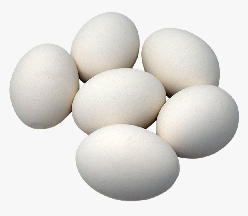 White Eggs.png