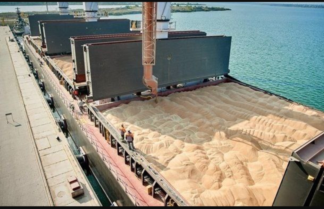 загрузка пшеницы на корабль.jpg