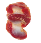 8-Chicken-Gizzards-132x140.png