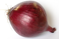 1.PNG