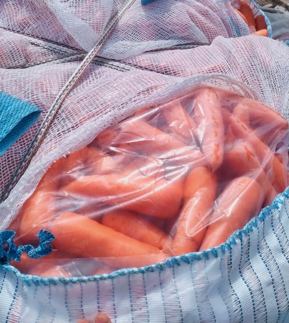 CARROTS 4.jpg