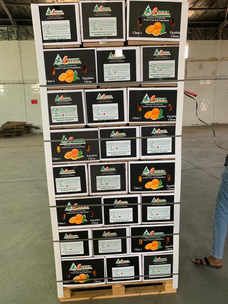 IMG-20190516-WA0045.jpg