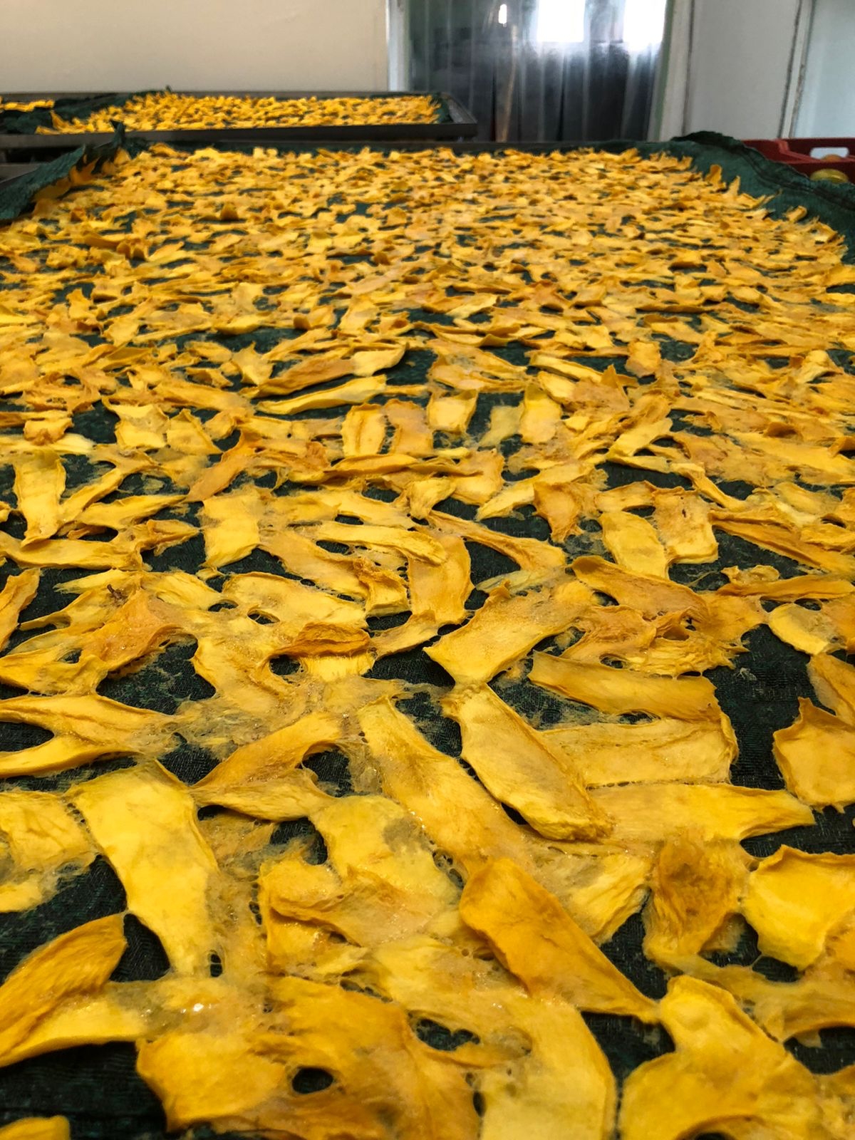 mango deshidratado.jpg