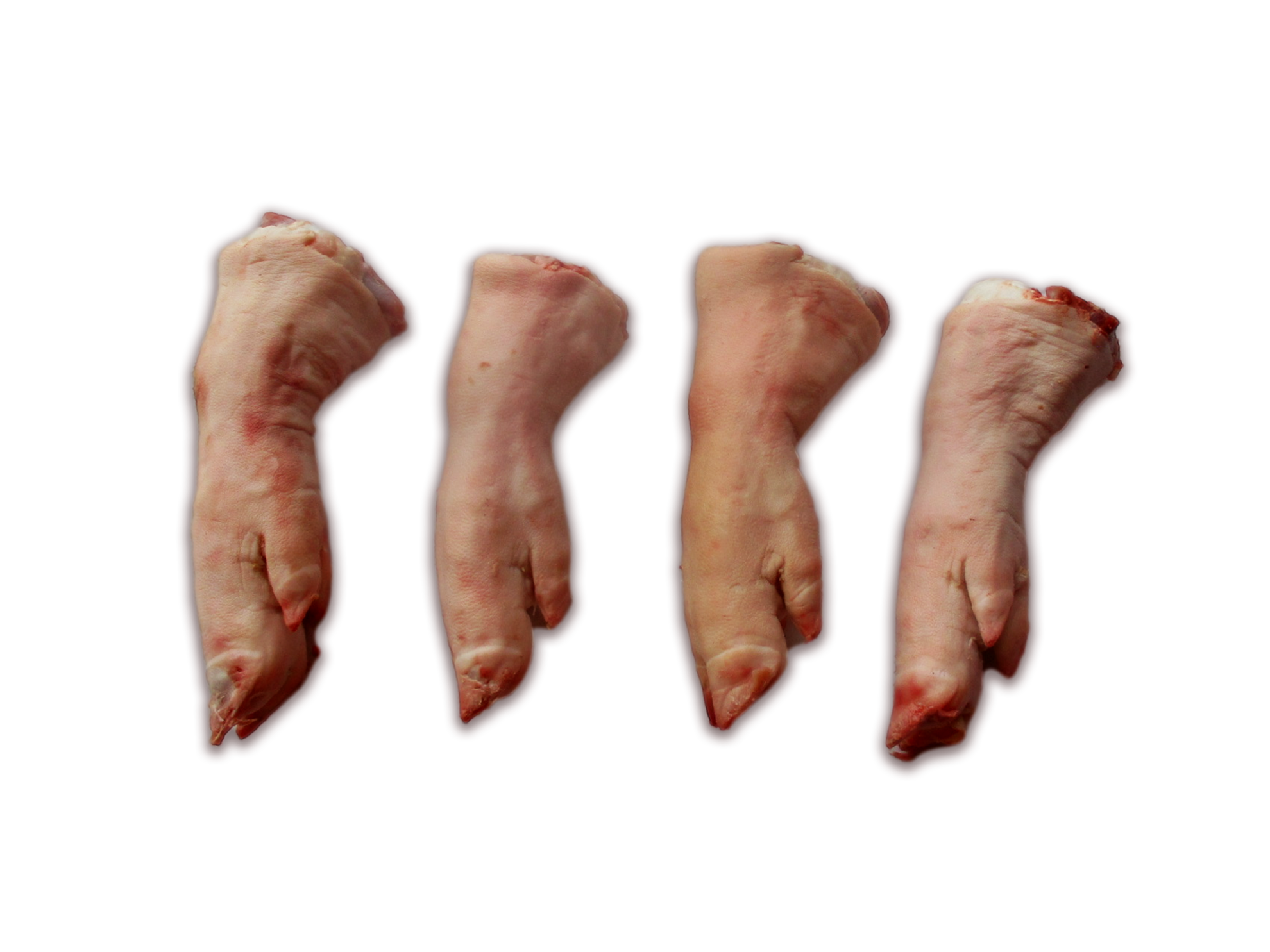nogi-przednie-1980x1485.png