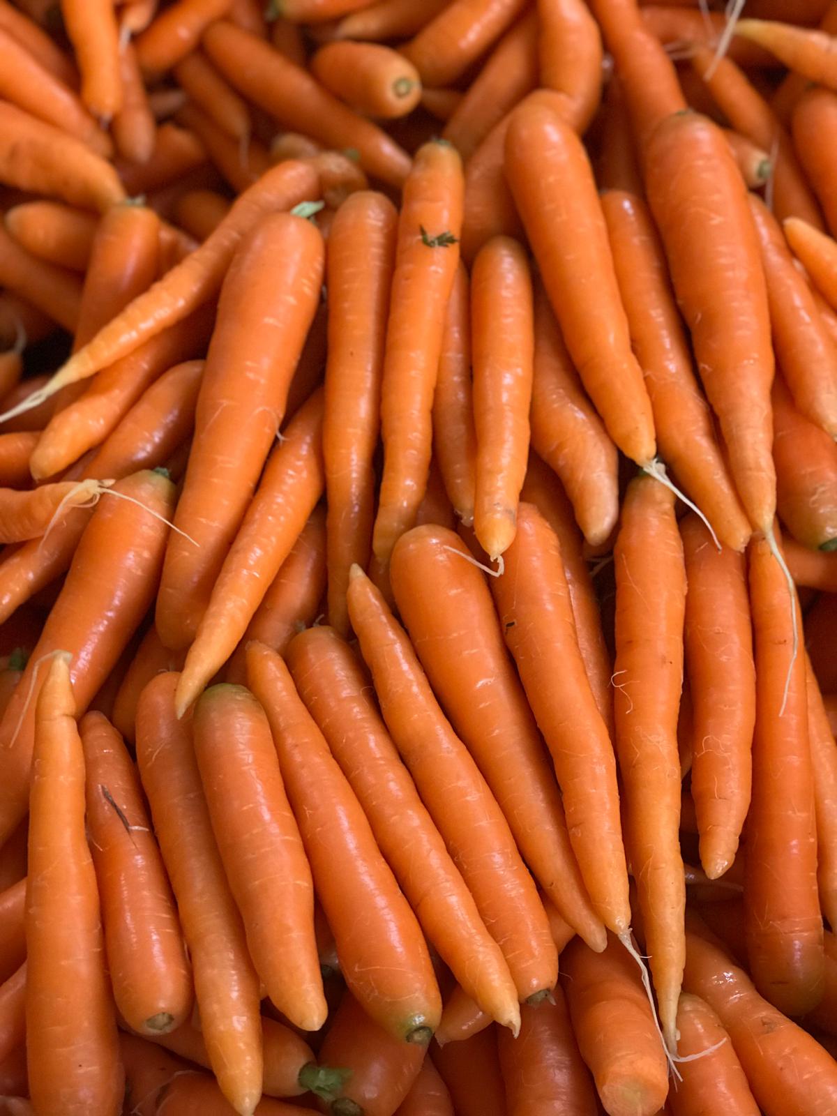 carrot 2.jpg