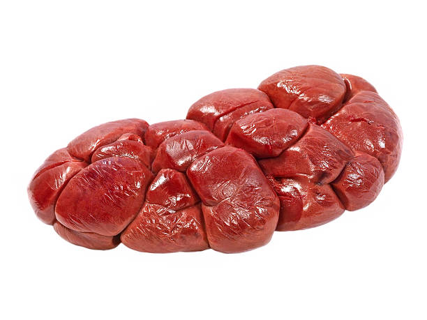 Beef (Kidney).jpg