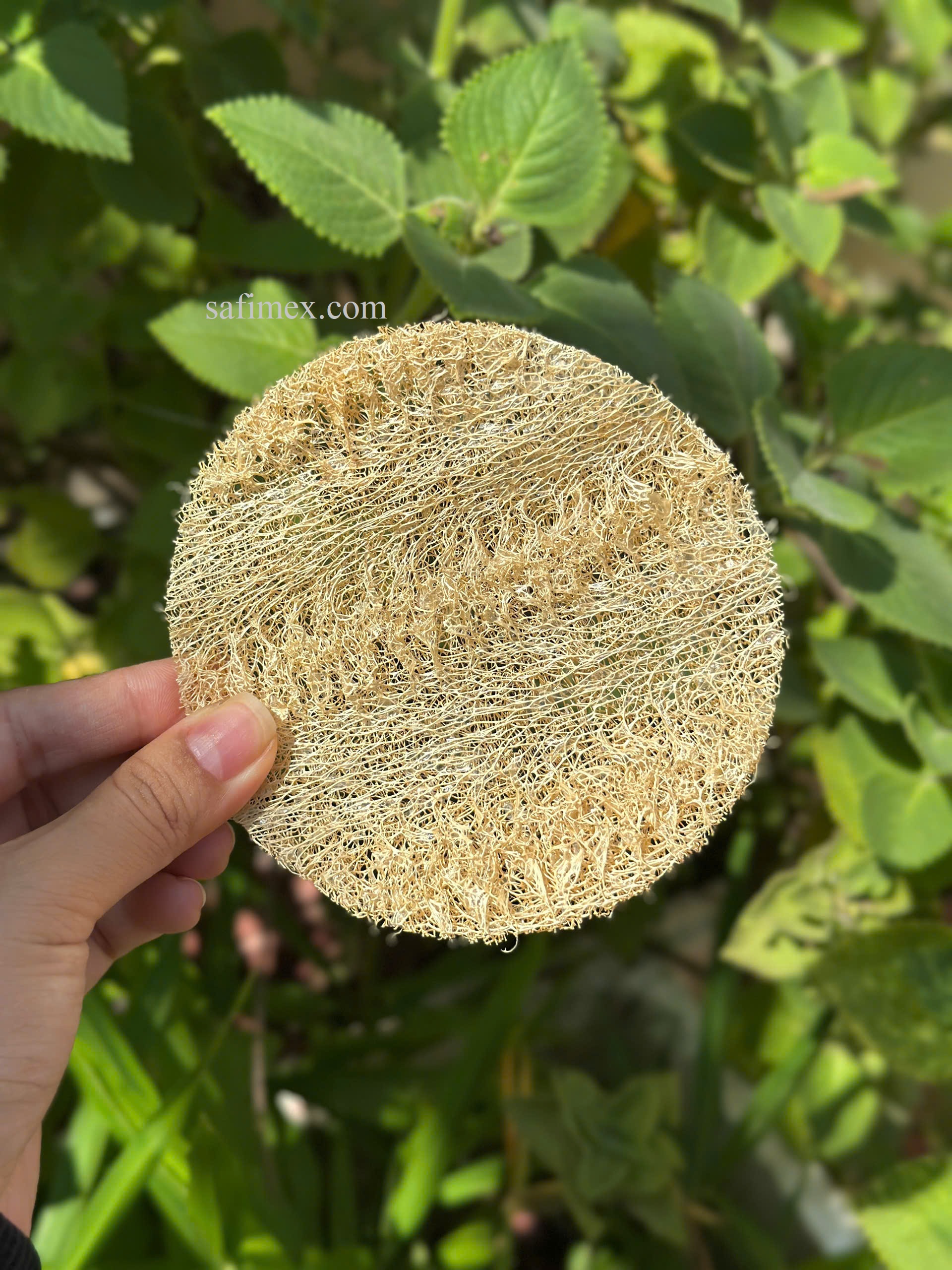 round pads one side5.jpg
