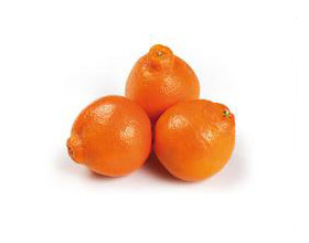 minneola.JPG