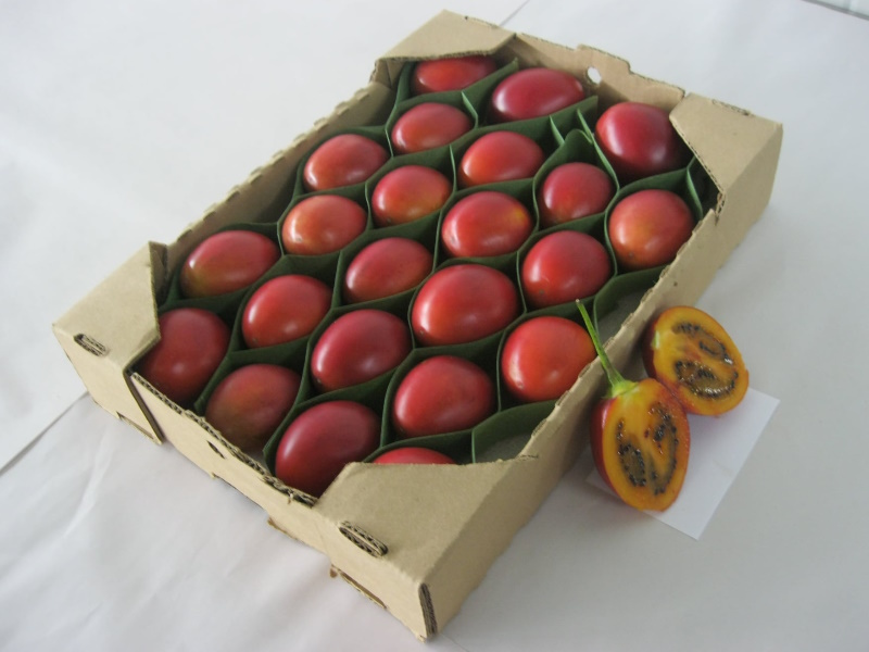4-Final-Product-FoodsMas-Fresh-Tamarillo-Colombia.jpg
