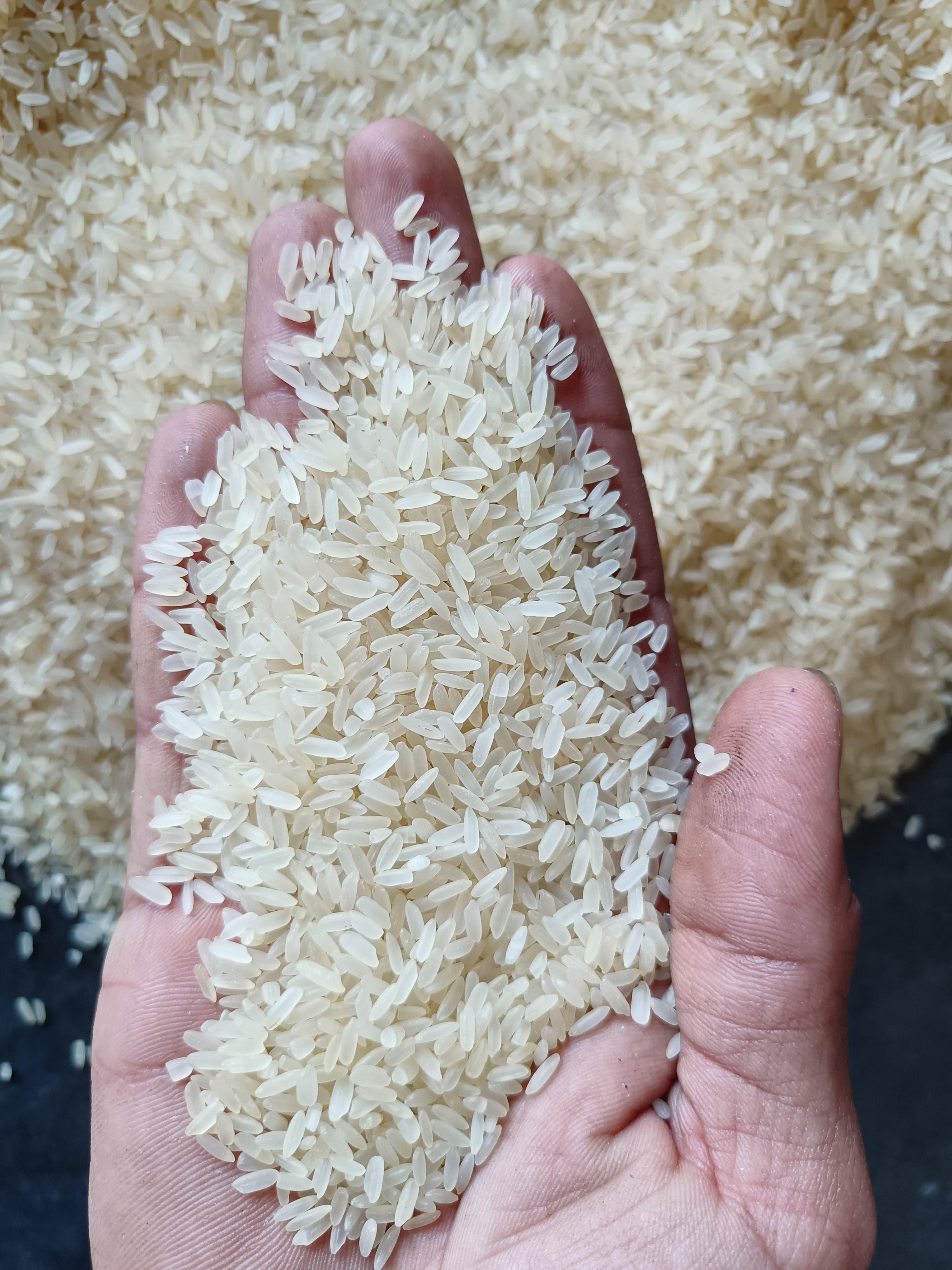 WhatsApp Image 2024-06-15 à 19.28.54_ec2717f0.jpg