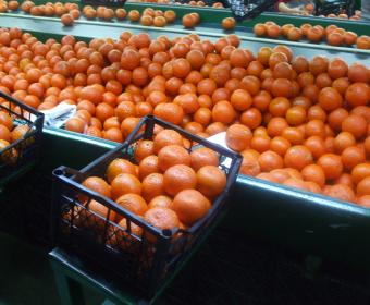 dscf7867.jpg
