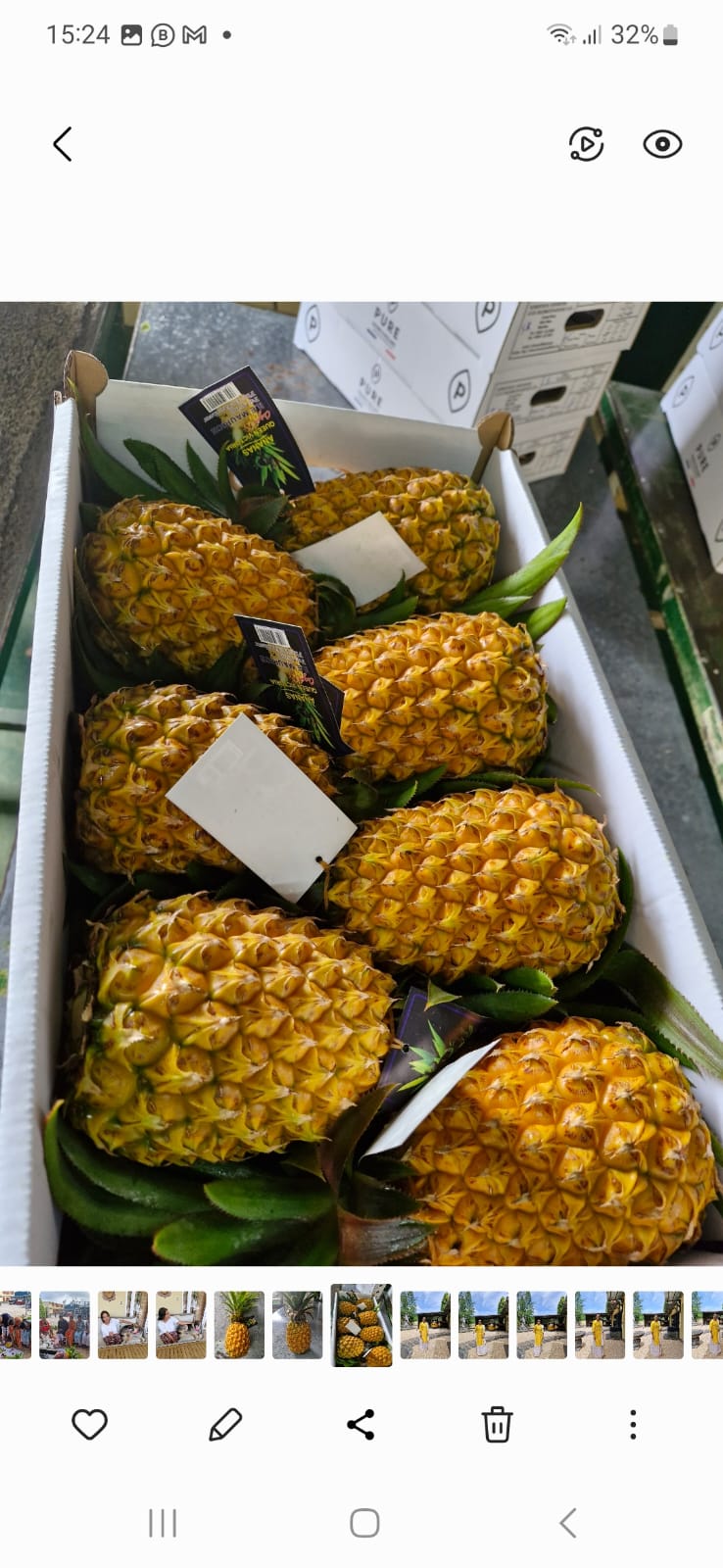 Ananas Victoria#Kodra-Export 4JPG.JPG