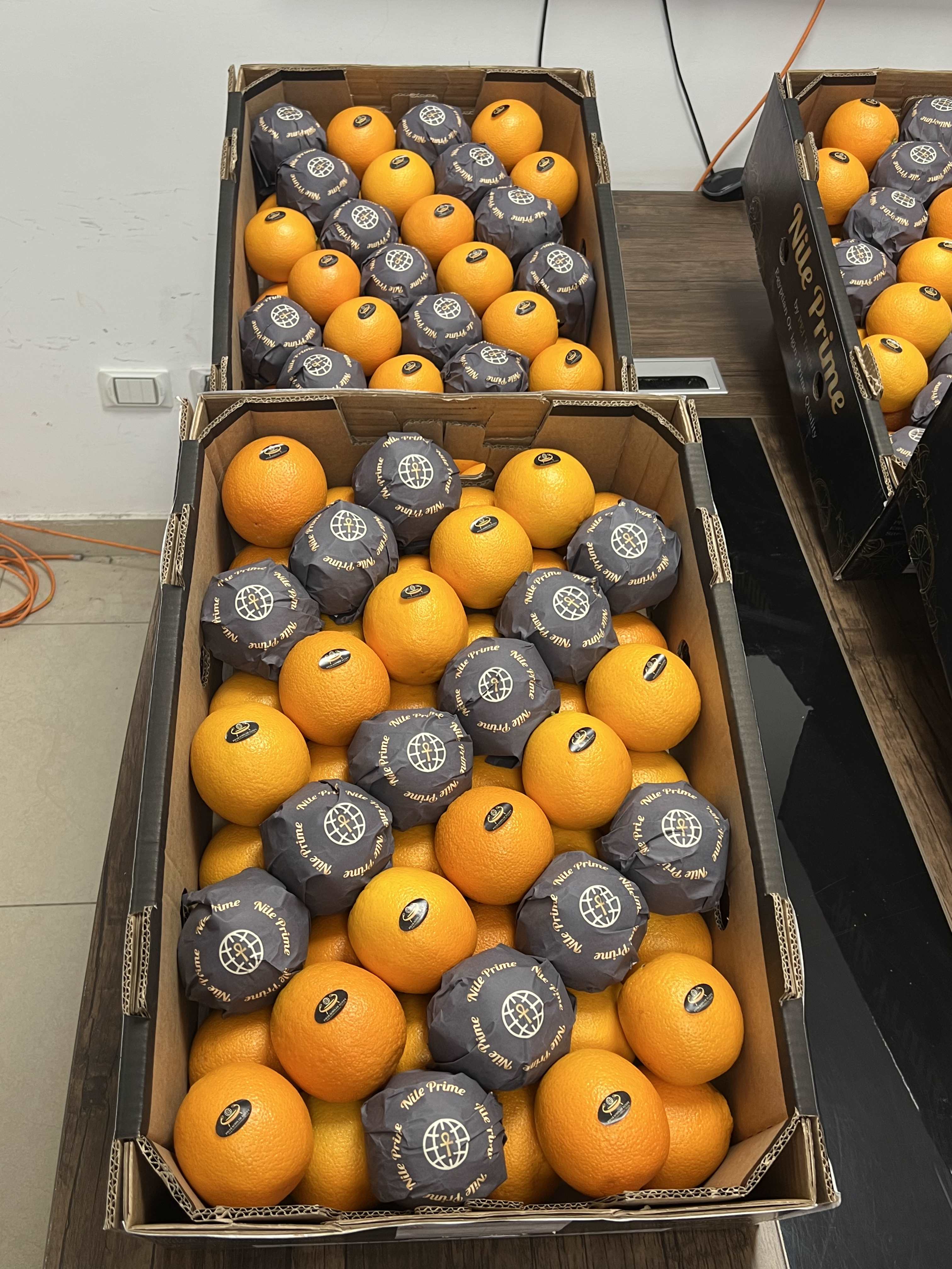 PEI Trade Oranges V (15).jpeg