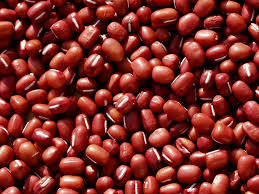 small red bean.png