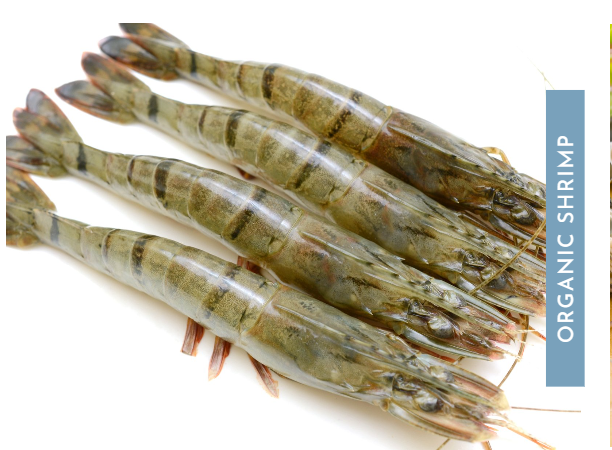 Screenshot 2023-05-03 154701.png