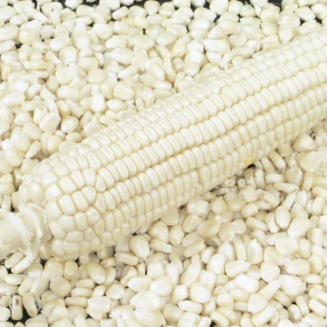 QUALITY-WHITE-CORN.jpg