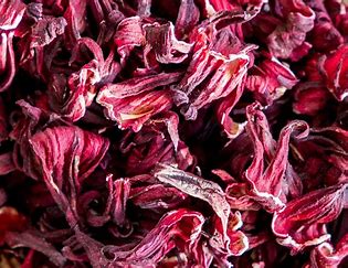 .trashed-1734275439-hibiscus.jpeg