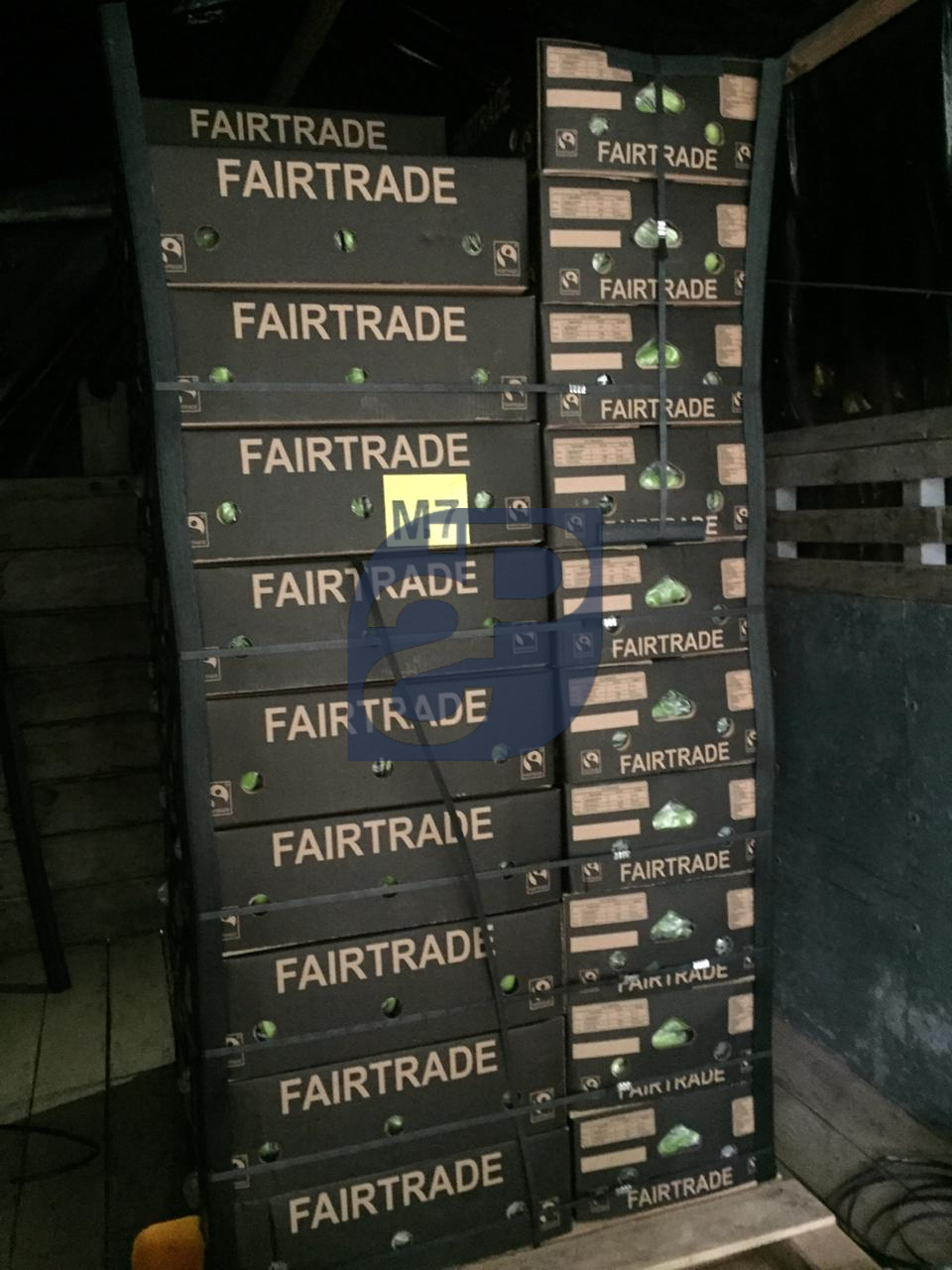 Bananas #27 - Standard & Partners.jpg
