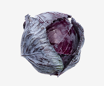 fs-produce-Red-Cabbage_rgb.jpg