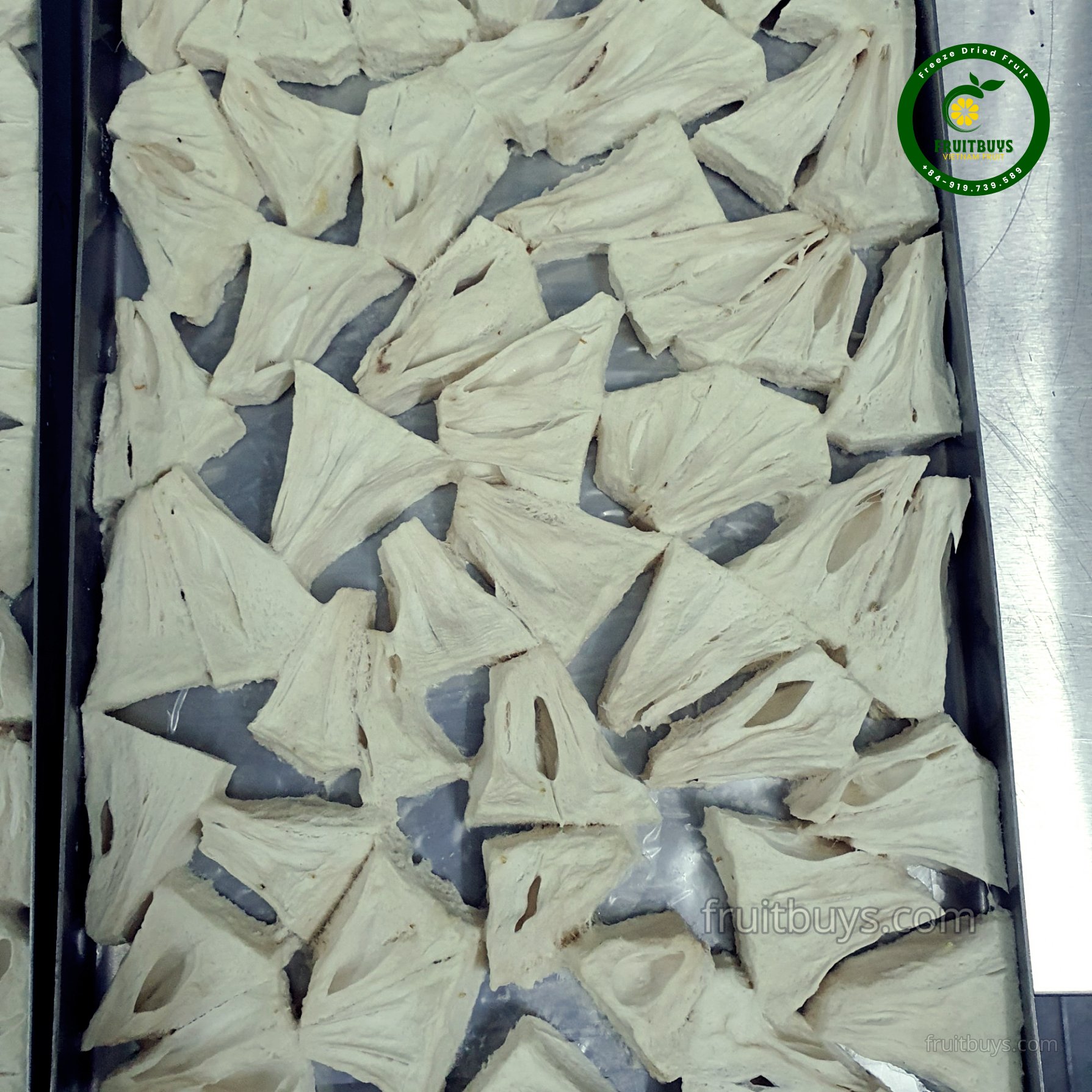 Freeze-Dried Pineapple Fruit- FruitBuys Vietnam (3).jpg