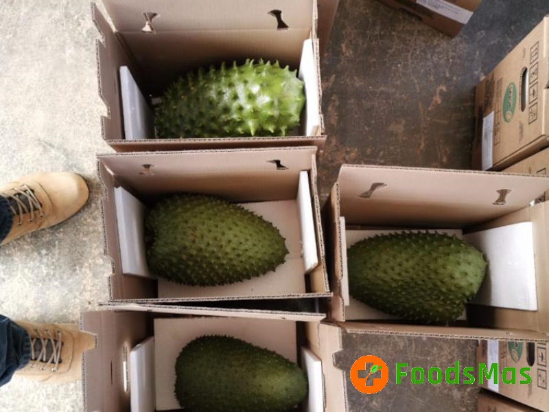 5-Final-Product-FoodsMas-Fresh-Soursop.jpg