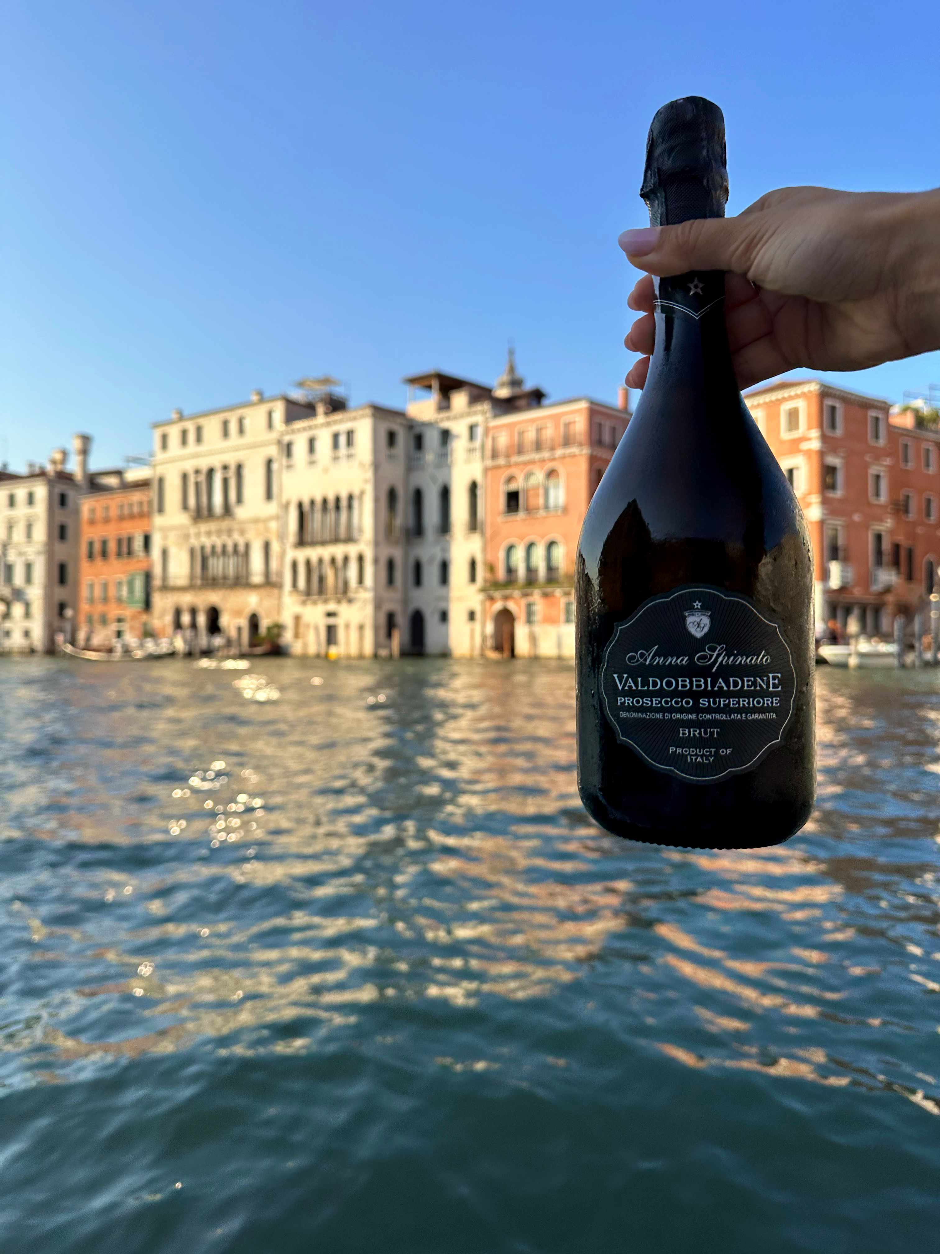 DOCG @ Venezia.png
