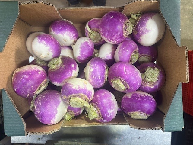 Turnips.jpg