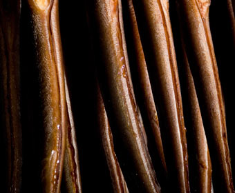 whole_eel_product.jpg