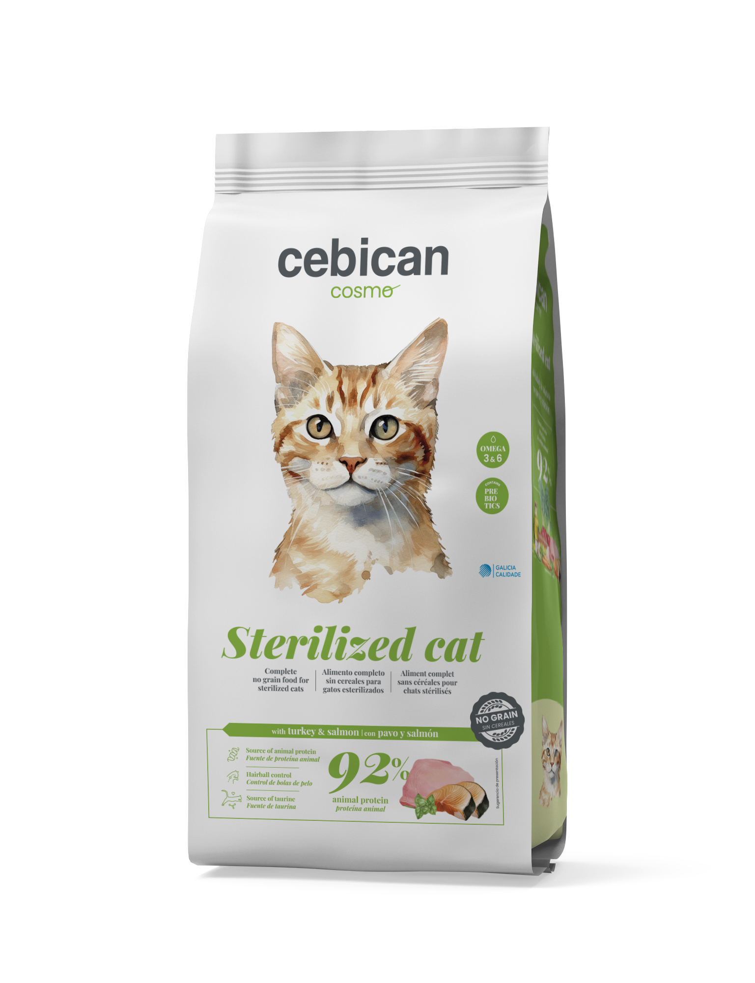 CAT NO GRAIN.jpg