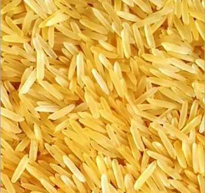 1509 Golden sella basmati.jpeg