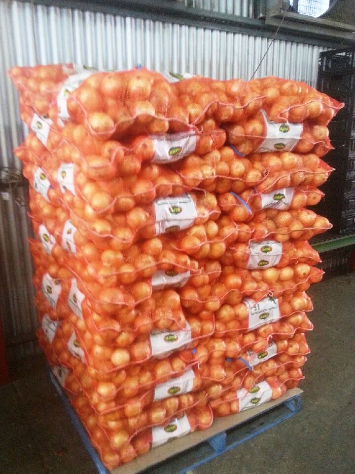 New Season Onions 2.jpg
