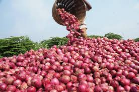 onions  (1).jpg