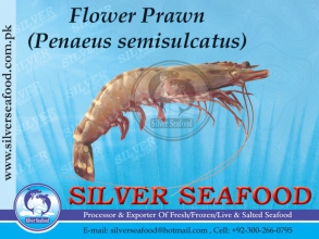 Flower-Prawn.jpg-nggid03197-ngg0dyn-300x220x100-00f0w010c010r110f110r010t010.jpg