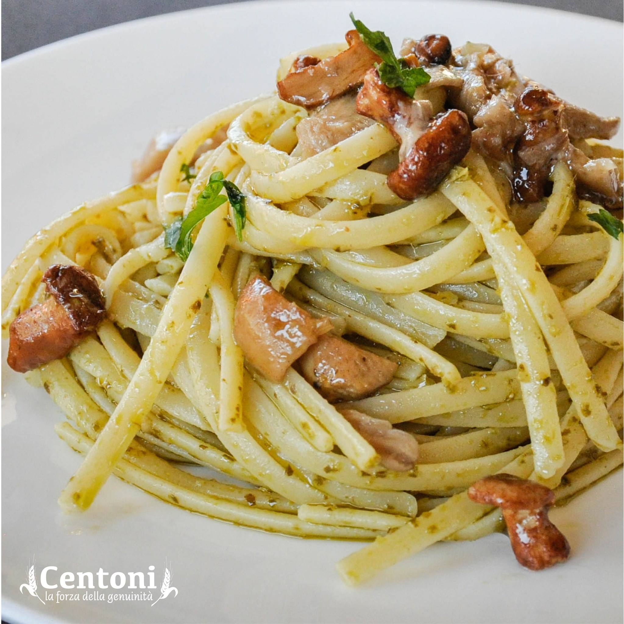 centoni_linguine_mushroom_dish.jpg