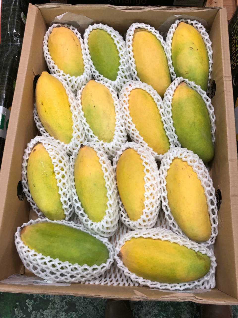 Japan Mango Pack_Sindhri (16).jpeg