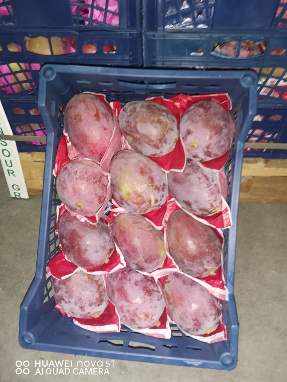 WhatsApp Image 2023-07-06 at 7.12.06 PM.jpeg