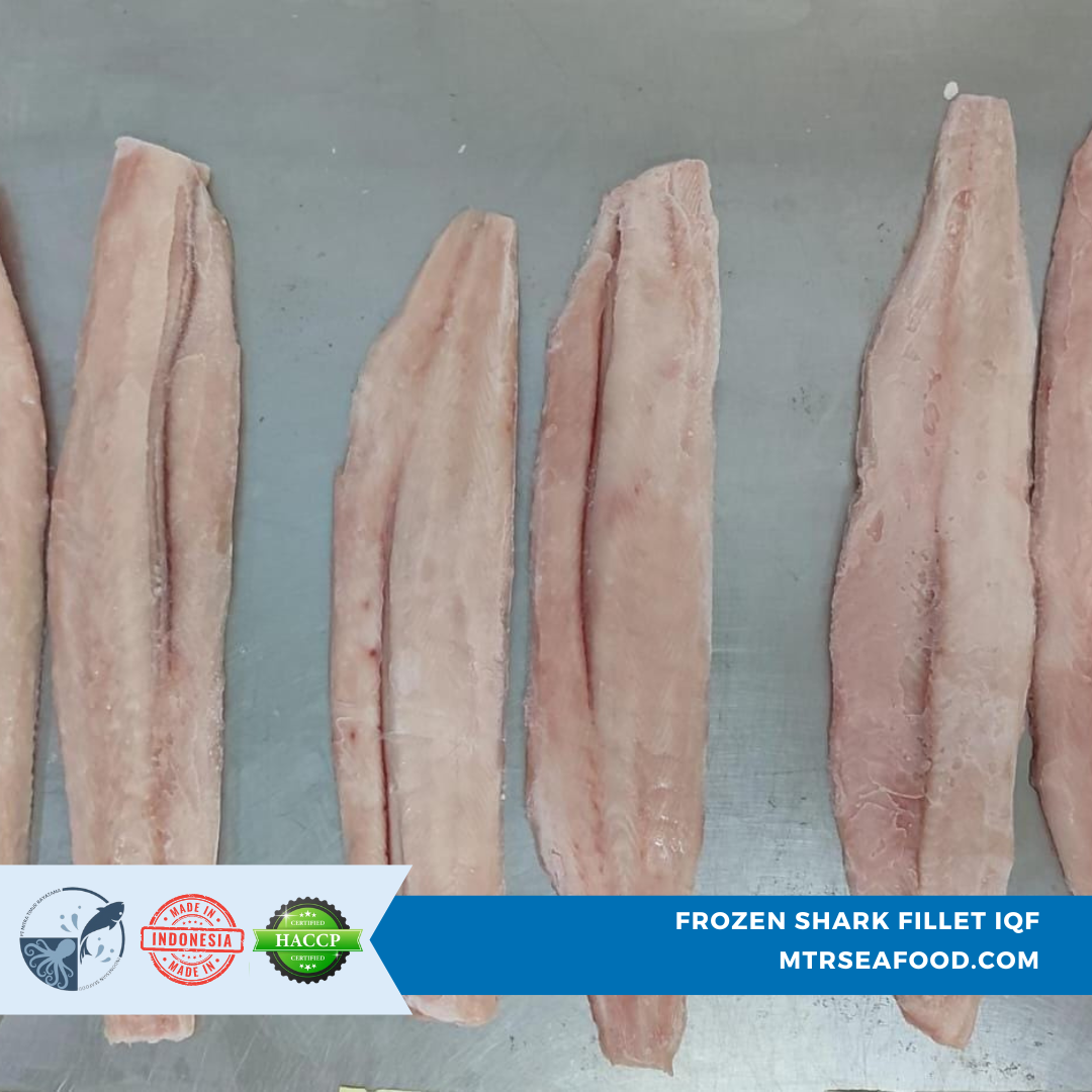 FROZEN SHARK FILLET.png