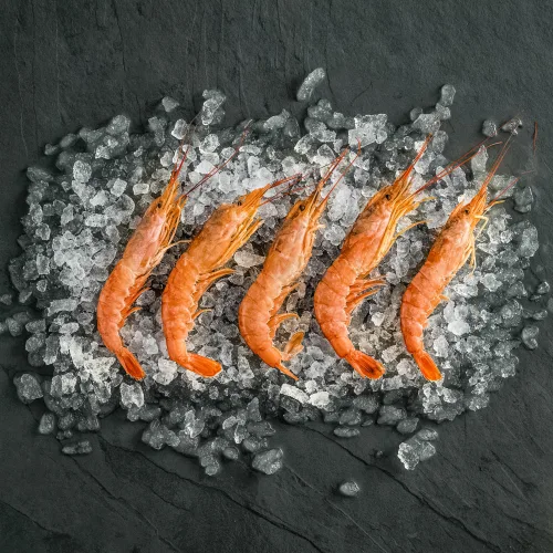 Shrimp Fixed_1543420667.webp