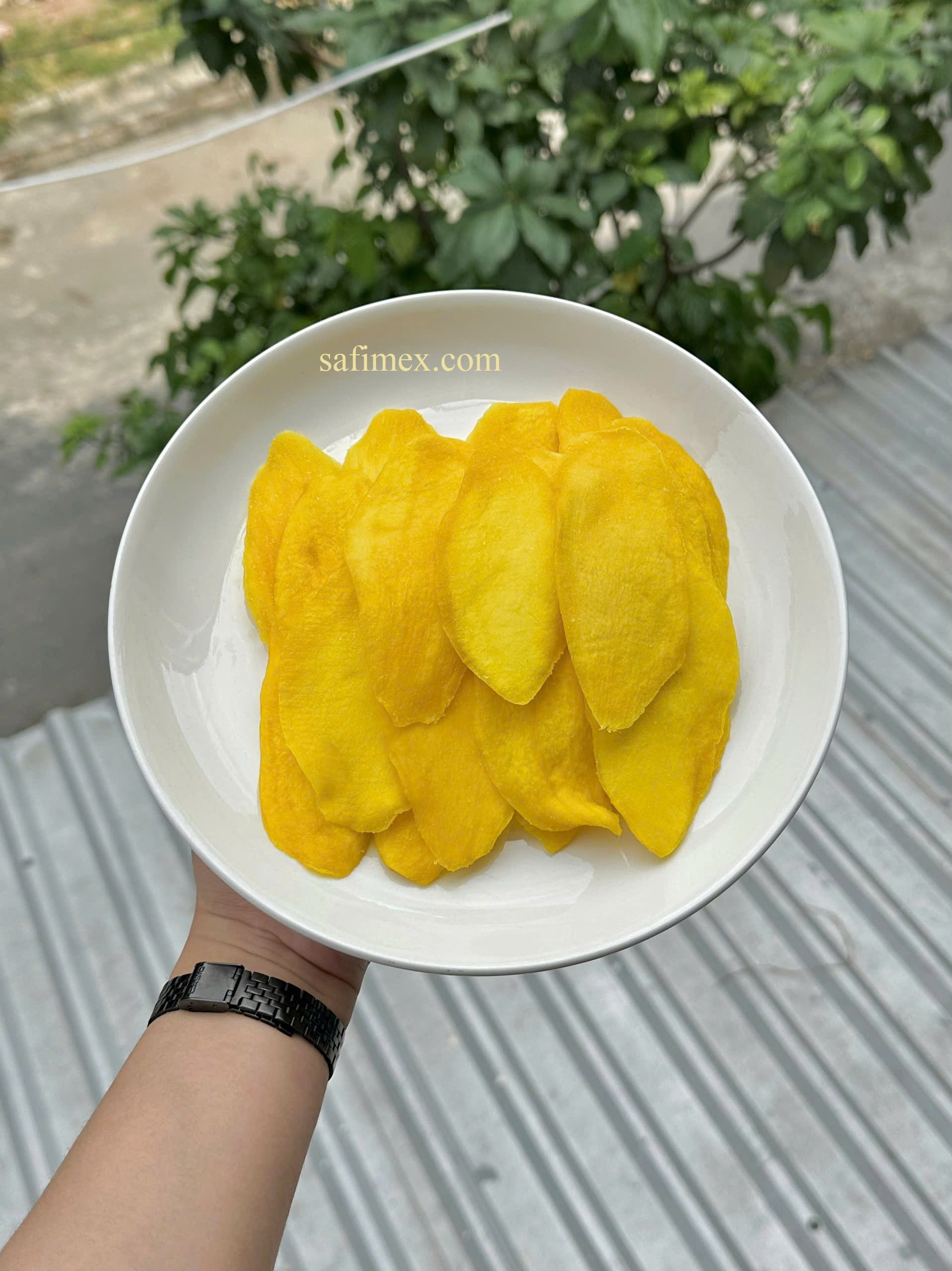 sfm mango B.jpg