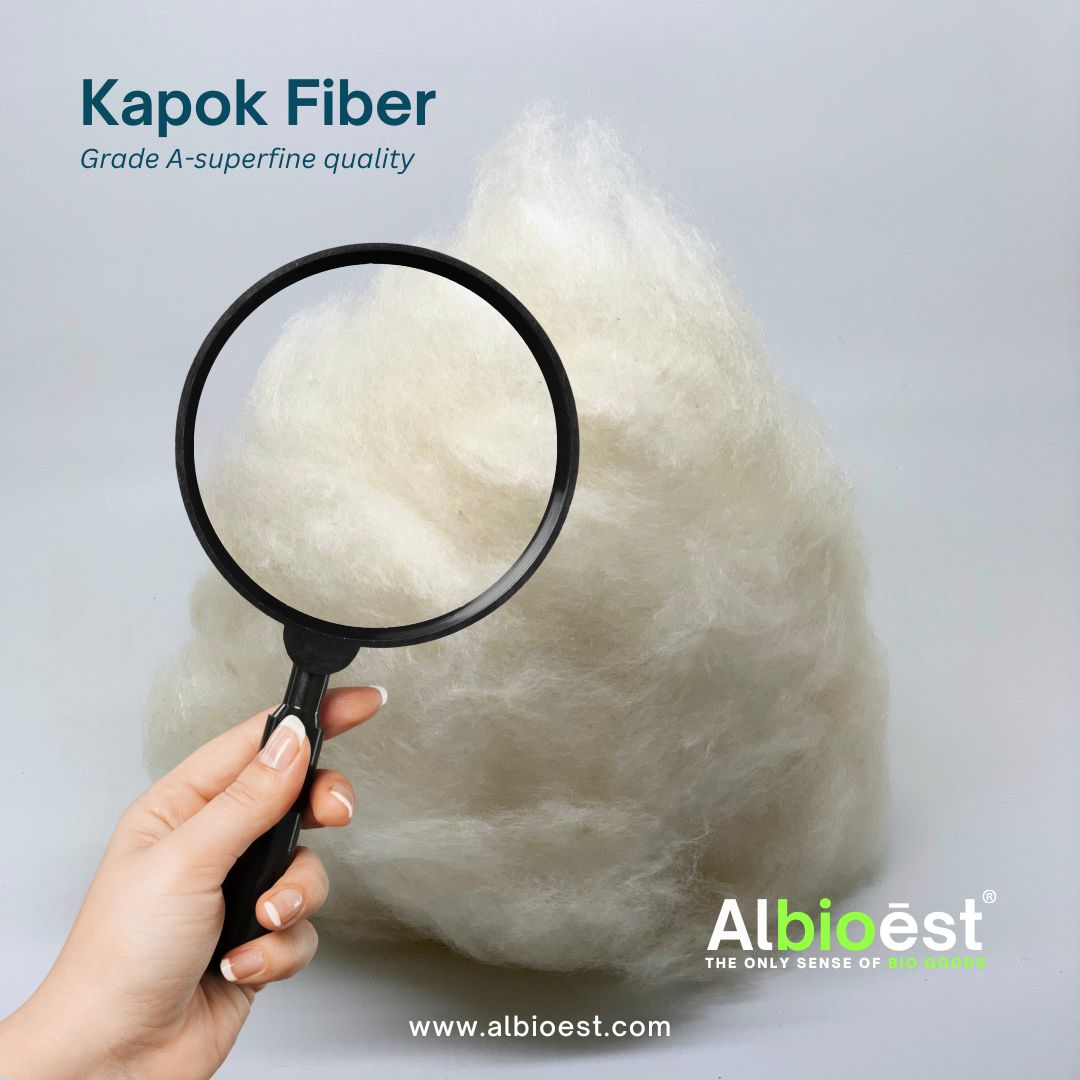 4. Kapok Fiber Grade A-Superfine Quality by PT. Albioest.jpg