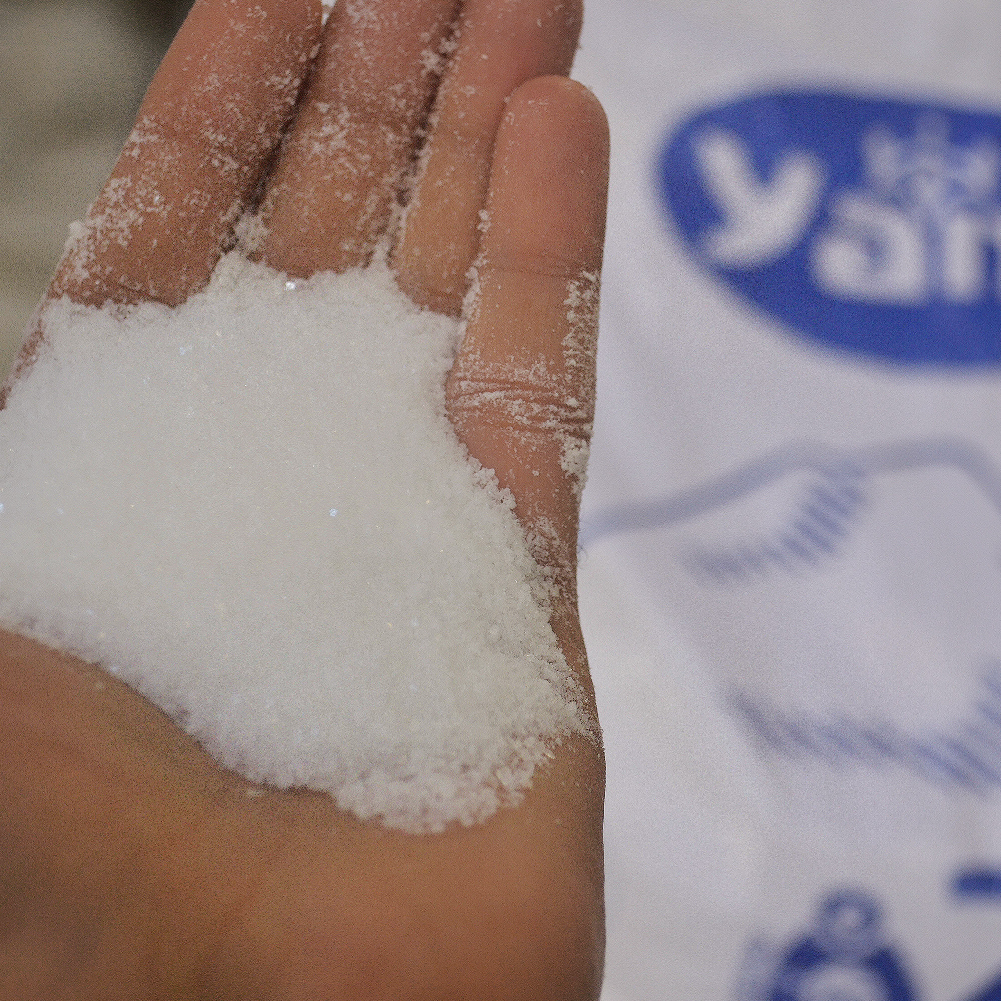 Yamy_Sea-Salt (2).jpg