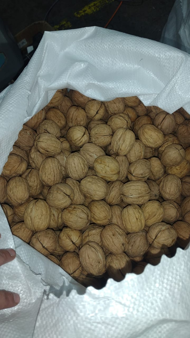 Nueces Sacos.jpeg