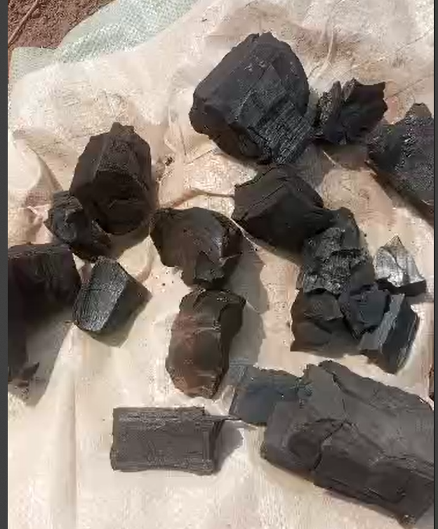 Charcoal 2.PNG