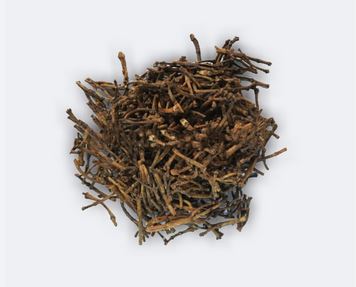 Clove Stem_2.JPG
