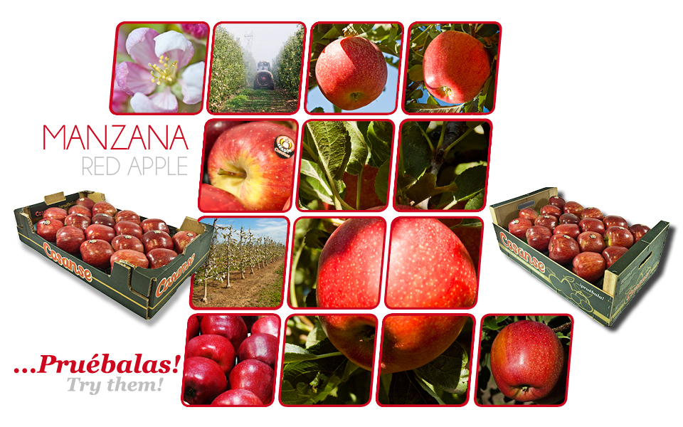 cabecera_catalogo_cosanse_frutas.7.jpg