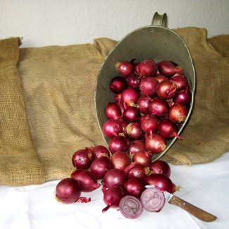 rote_zwiebeln-325x325.jpg