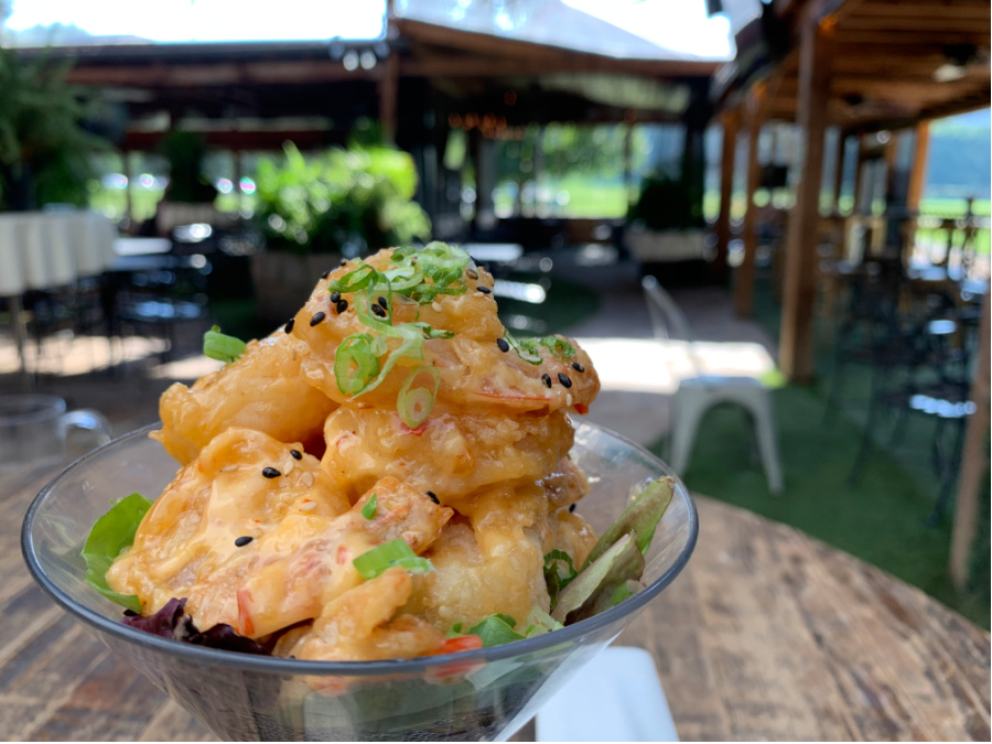 Big.Bang_.Shrimp2020.jpg