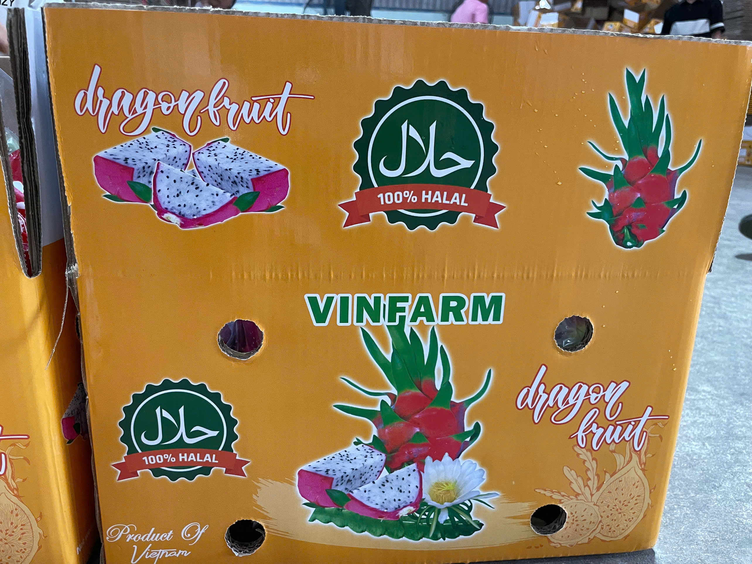 z6363638702145_2af37376f747f4ca96036616ea80164d - Sao chép.jpg