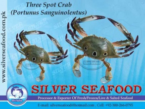 Three-Spot-Crab.jpg-nggid03188-ngg0dyn-300x220x100-00f0w010c010r110f110r010t010.jpg