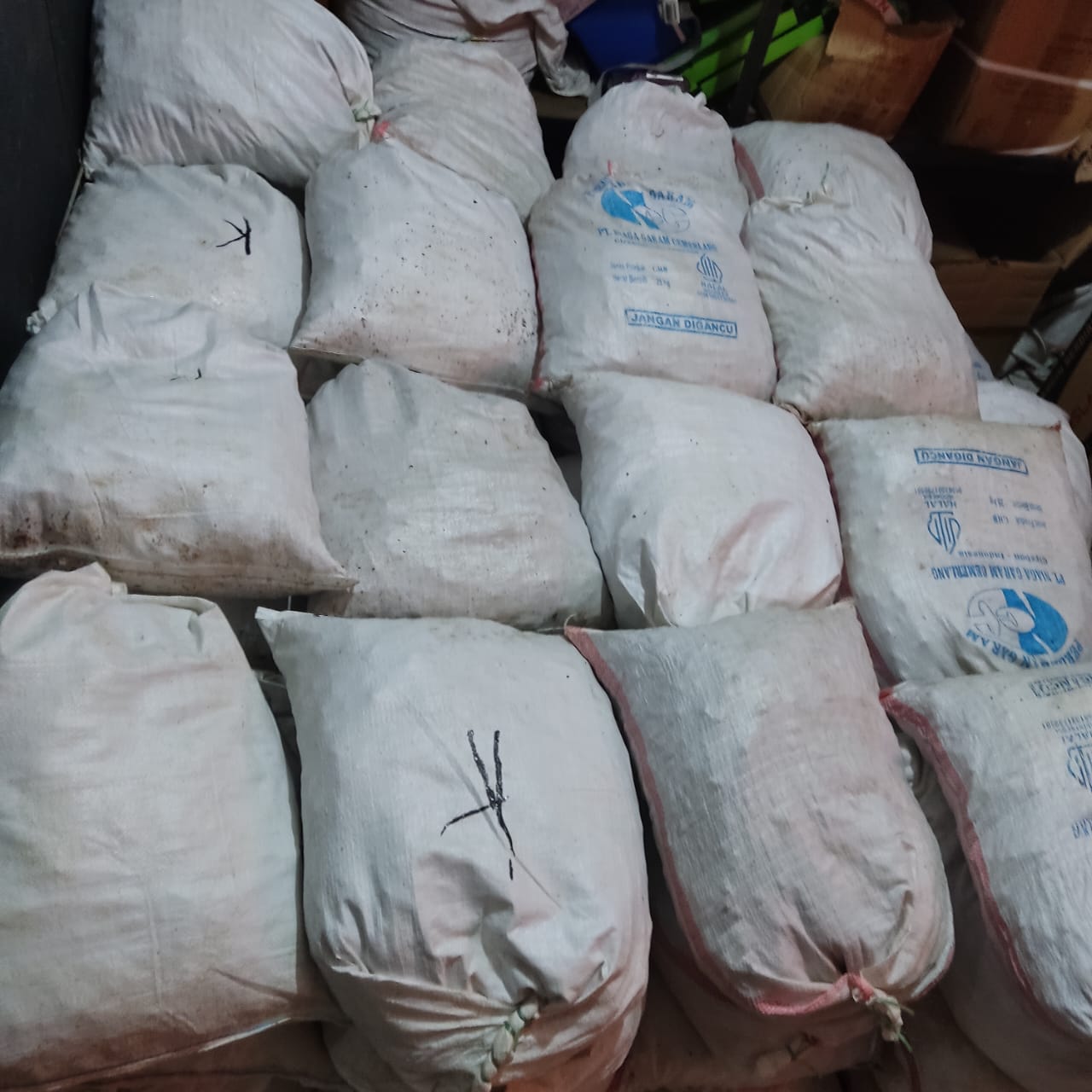 stok kunyit @10kg HFSB Malaysia.jpg